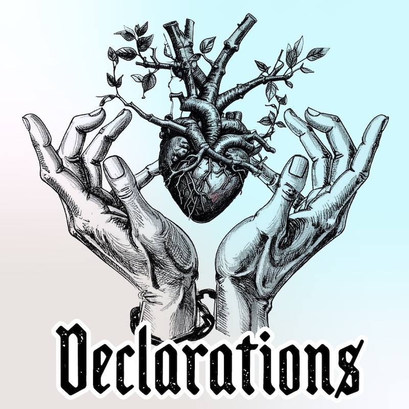 Declarations Declarations